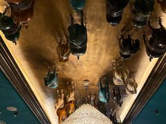 -福禧酒窖·中餐厅 (万柳店)