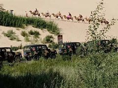 景点-玉龙沙湖景区