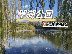 -翠湖公园