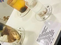 -冰岛阴茎博物馆