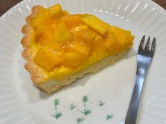 -猫里有甜