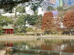 -大埔公路-马料水段香港中文大学(公交站)