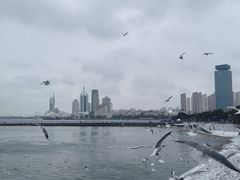 -栈桥景区