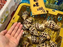 -猪肉婆私房菜(容桂总店)