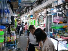 -万商花鸟市场