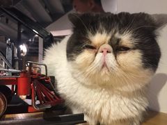 -俏湘私房菜(国贸店)