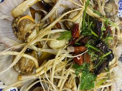 扇贝-胖子饺子馆·海鲜家常菜(海军博物馆店)