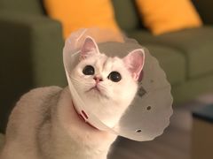 -美联众合动物医院·24h转诊中心