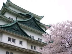 -名古屋城