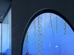 -上足·影院足道·SPA(红岭店)