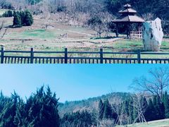 -棒棰岛宾馆景区