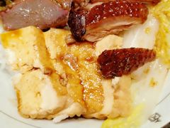 狮头牌鹅肉拼鹅胗饭-狮头牌卤味研究所·卤味饭(花城汇南区店)