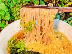 -森味薪火烧•烧鸟居酒屋•日本料理(望京店)