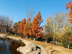 -中家鑫园温泉酒店鑫悦汤泉