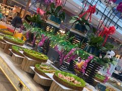 -半岛听涛蒸汽海鲜自助(K11店)