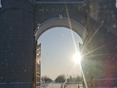 -呼兰河口湿地公园