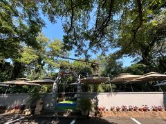 -丽泽山庄·生态怀柔菜·虹鳟鱼(红螺寺店)
