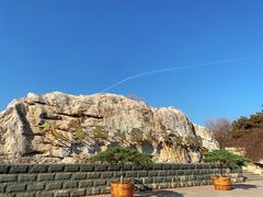 -北京西山国家森林公园