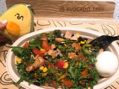-油梨树AVOCADO TREE(嘉里中心店)