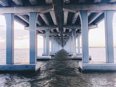 -宝安西湾红树林湿地公园