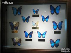 -上海昆虫博物馆