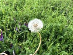 -丽江泸沽湖景区