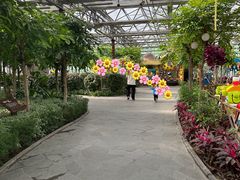 -南宫五洲植物乐园