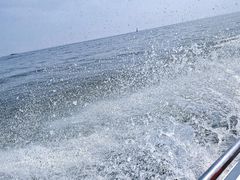 -巢湖姥山岛