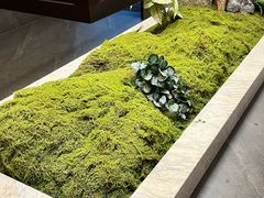 -大蓉和(双楠店)