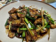 姜葱焖鸭嘴鱼-鲤鱼塘农家山庄