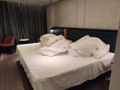 -和颐至尚酒店(上海陆家嘴浦电路地铁站店)