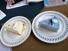 -白棠(九方保利大厦店)