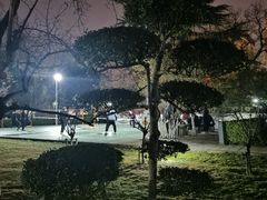 -莲湖公园