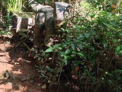 -海南热带野生动植物园