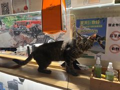 -DGE季风钓虾营地·团建·聚会