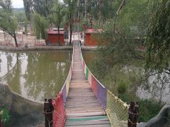 -东方巨龟苑景区