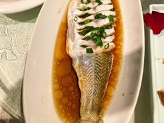 -金美华轩(东方路齐鲁店)