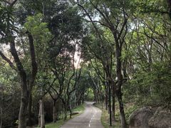 -燕晗山郊野公园