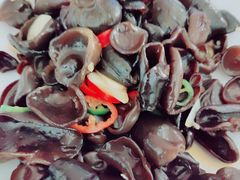 椒麻云耳-丰收日·小海鲜·沪上家宴(顾村正大店)
