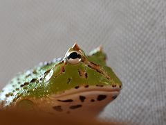 -三旗百汇商品城