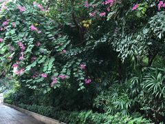 -东风公园