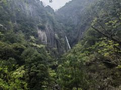 -大鄣山卧龙谷景区
