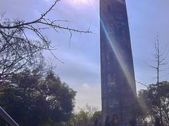 -上海佘山国家森林公园天马山园