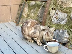 -舊新事咖啡NOTHING NEW COFFEE