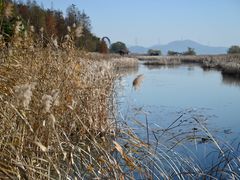 -苏州太湖湖滨国家湿地公园