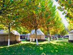 -九十九顶毡房(阜石路店)