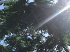 -厦门国家会计学院