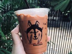 -TrueLove @ Neverland (Husky Cafe)