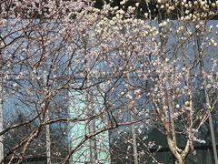 -中关村生命科学园