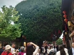 -三坊七巷历史文化街区